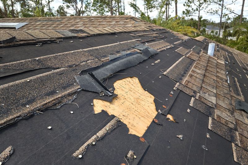 Asphalt roof with visible damage