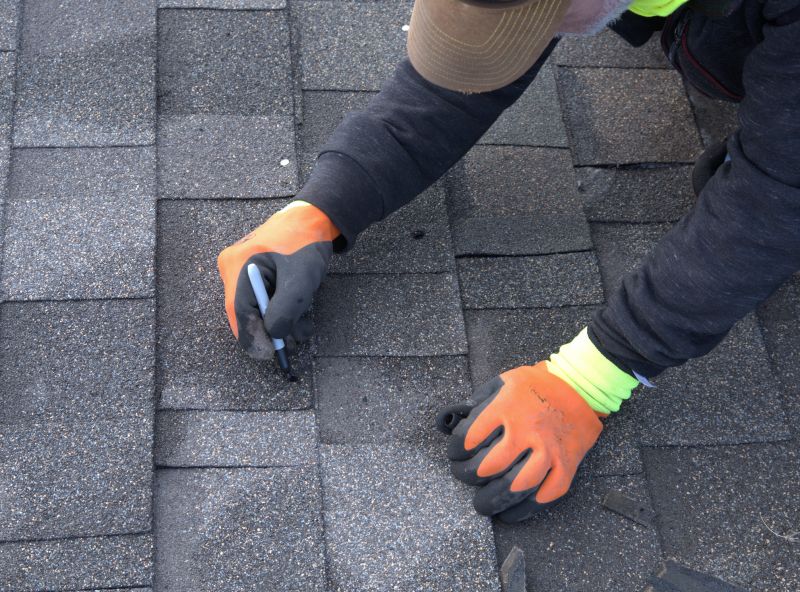 Professional asphalt shingle repair